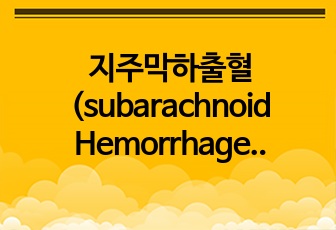 지주막하출혈(subarachnoid Hemorrhage) 간호과정