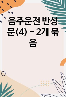 음주운전 반성문(4) - 2개 묶음