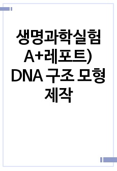 생명과학실험 A+레포트) DNA 구조 모형 제작