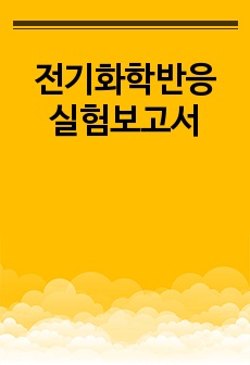 전기화학반응 실험보고서