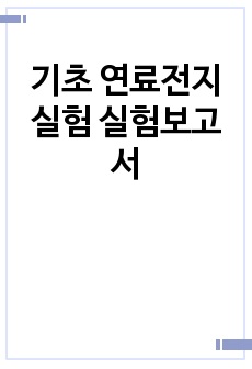 기초 연료전지 실험 실험보고서