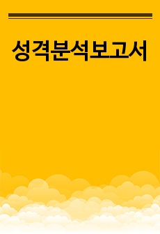 성격분석보고서