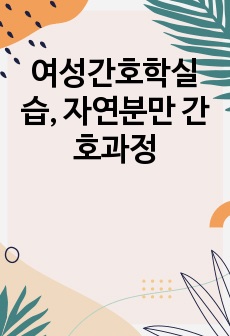 여성간호학실습, 자연분만 간호과정