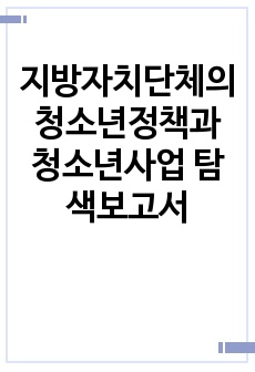 지방자치단체의 청소년정책과 청소년사업 탐색보고서