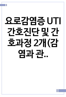 요로감염증 UTI 간호진단 및 간호과정 2개(감염과 관련된 고체온, 질병과 관련된 급성통증)