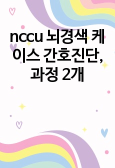 nccu 뇌경색 케이스 간호진단, 과정 2개