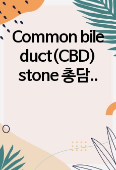 Common bile duct(CBD) stone 총담관결석 케이스