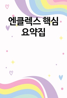 엔클렉스 핵심요약집