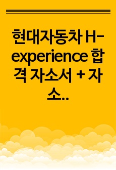 현대자동차 H-experience 합격 자소서 + 자소서 기반 면접질문 (수소 직군)