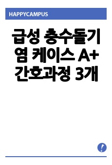 급성 충수돌기염 케이스 A+ 간호과정 3개