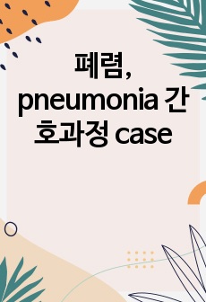 폐렴, pneumonia 간호과정 case