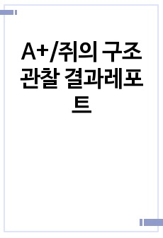 A+/쥐의 구조 관찰 결과레포트