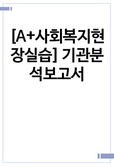 [A+사회복지현장실습] 기관분석보고서