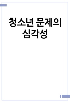 청소년 문제의 심각성