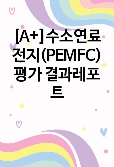 [A+]수소연료전지(PEMFC) 평가 결과레포트