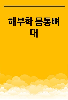 해부학 몸통뼈대