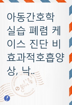 아동간호학 실습 폐렴 케이스 진단 비효과적호흡양상, 낙상의위험