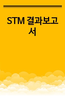 STM 결과보고서