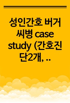 성인간호 버거씨병 case study (간호진단2개, 간호과정1개)