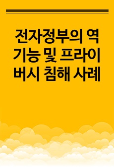 전자정부의 역기능 및 프라이버시 침해 사례