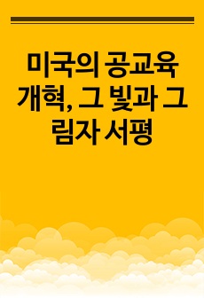 미국의 공교육 개혁, 그 빛과 그림자 서평