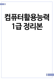 컴퓨터활용능력 1급 정리본