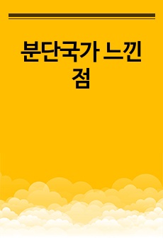 분단국가 느낀점