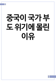 중국이 국가 부도 위기에 몰린 이유