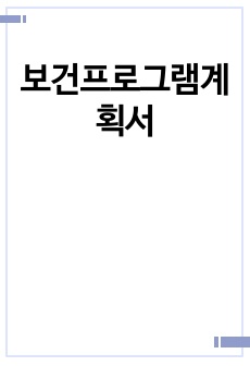 보건프로그램계획서