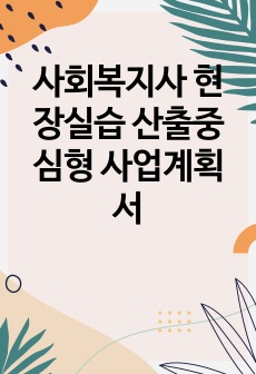 사회복지사 현장실습 산출중심형 사업계획서