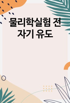 물리학실험 전자기 유도