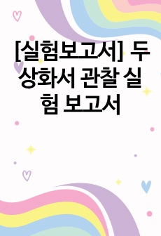 [실험보고서] 두상화서 관찰 실험 보고서