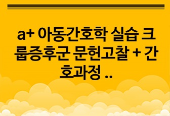 a+ 아동간호학 실습 크룹증후군 문헌고찰 + 간호과정 3개 입니다.