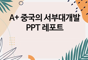 A+ 중국의 서부대개발 PPT 레포트