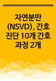 자연분만 (NSVD), 간호진단 10개 간호과정 2개