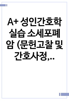 A+ 성인간호학실습 소세포폐암 (문헌고찰 및 간호사정, 진단 2개 비효율적 호흡 양상, 비효과적 기도 청결