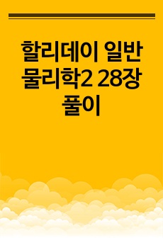 할리데이 일반물리학2 28장 풀이