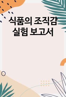 식품의 조직감 실험 보고서