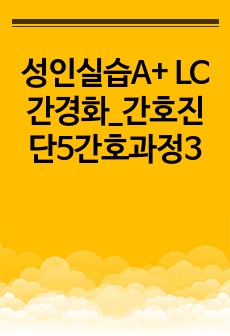 성인실습A+ LC간경화_간호진단5간호과정3