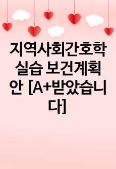 지역사회간호학실습 보건계획안 [A+받았습니다]