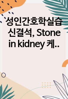 성인간호학실습 신결석, Stone in kidney 케이스스터디 간호진단 3개 간호과정 2개