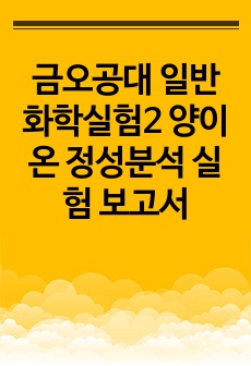 금오공대 일반화학실험2 양이온 정성분석 실험 보고서