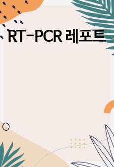 RT-PCR 레포트