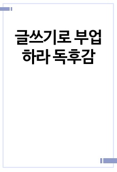 글쓰기로 부업하라 독후감