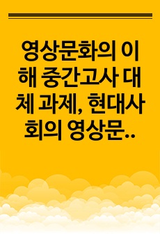 영상문화의 이해 중간고사 대체 과제, 현대사회의 영상문화 중간고사 대체 과제