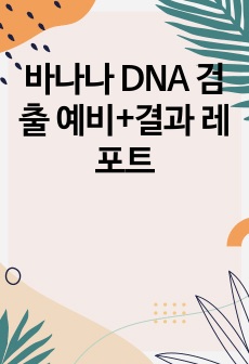 바나나 DNA 검출 예비+결과 레포트