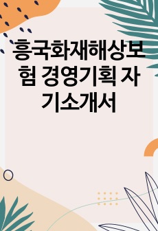 흥국화재해상보험 경영기획 자기소개서