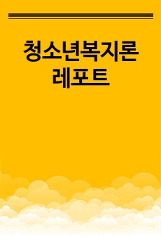 청소년복지론 레포트