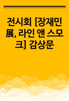 전시회 [장재민 展, 라인 앤 스모크] 감상문