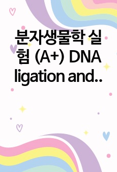 분자생물학 실험 (A+) DNA ligation and transformation 예비보고서